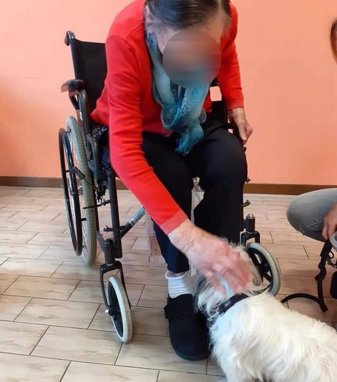 Progetto di Intervento Assistito con i Cani, foto 4