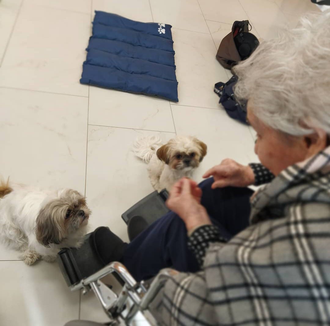 Progetto di Intervento Assistito con i Cani, foto 6