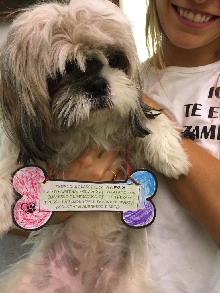 Progetto di Intervento Assistito con i Cani, foto 8