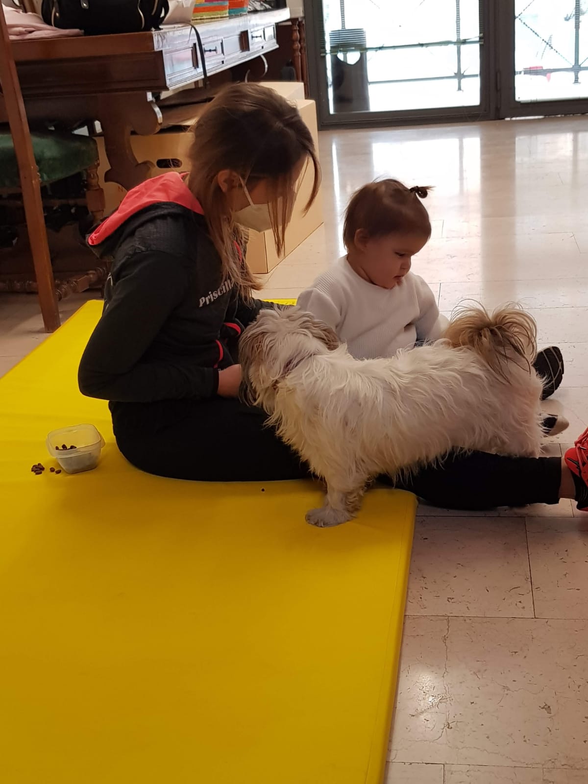 Progetto di Intervento Assistito con i Cani, foto 9