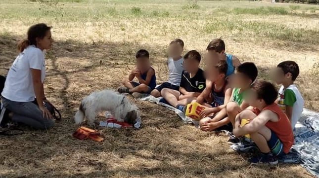 Progetto di Intervento Assistito con i Cani, foto 1