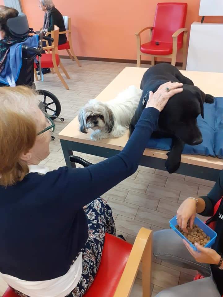 Progetto di Intervento Assistito con i Cani, foto 10