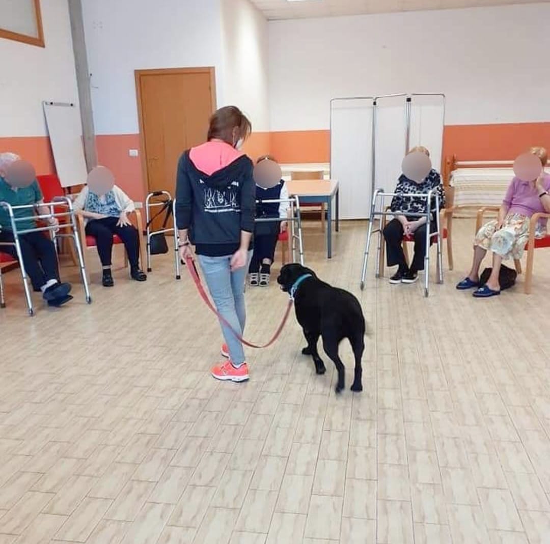 Progetto di Intervento Assistito con i Cani, foto 11