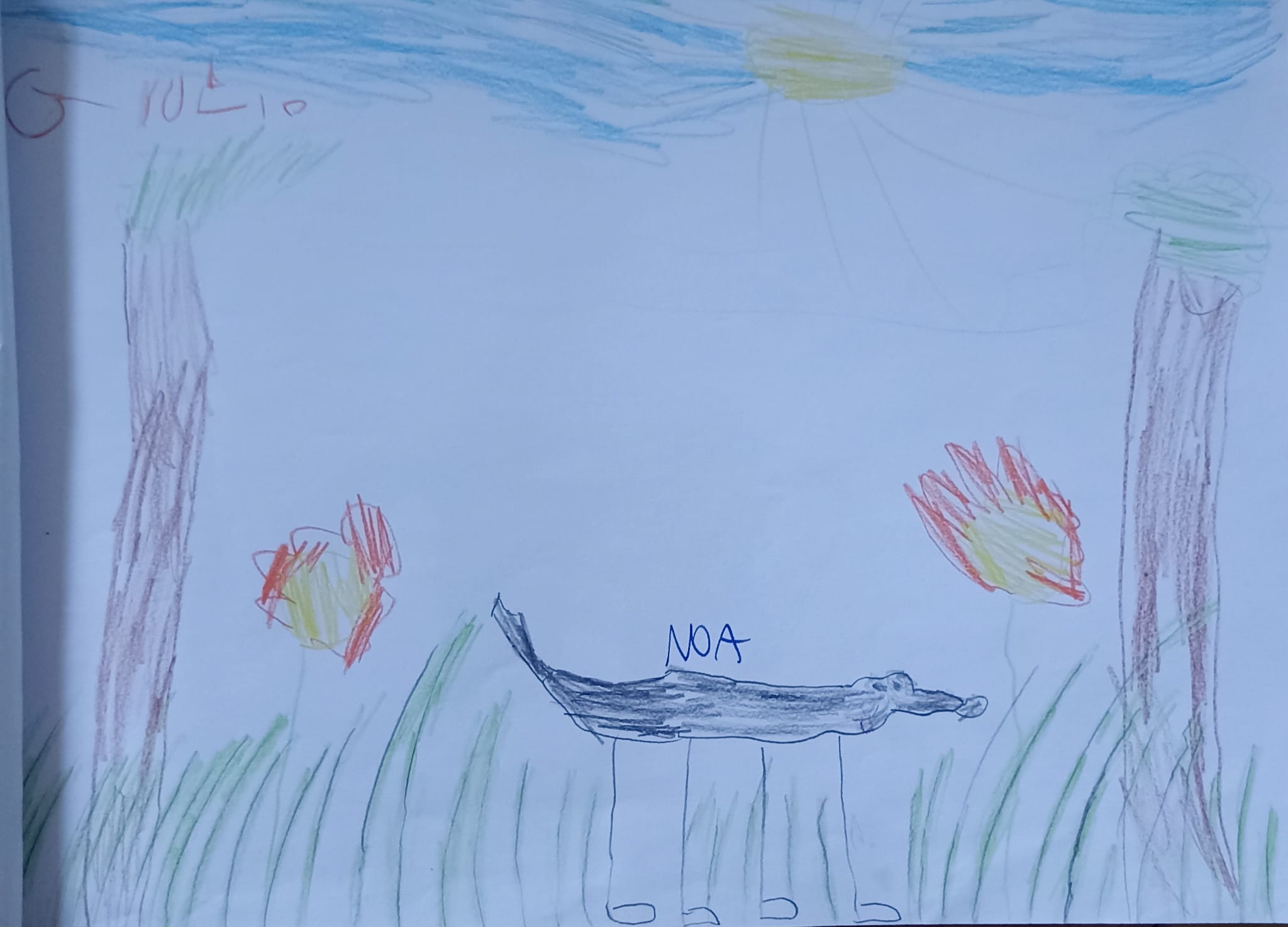 Progetto di Intervento Assistito con i Cani, foto 12
