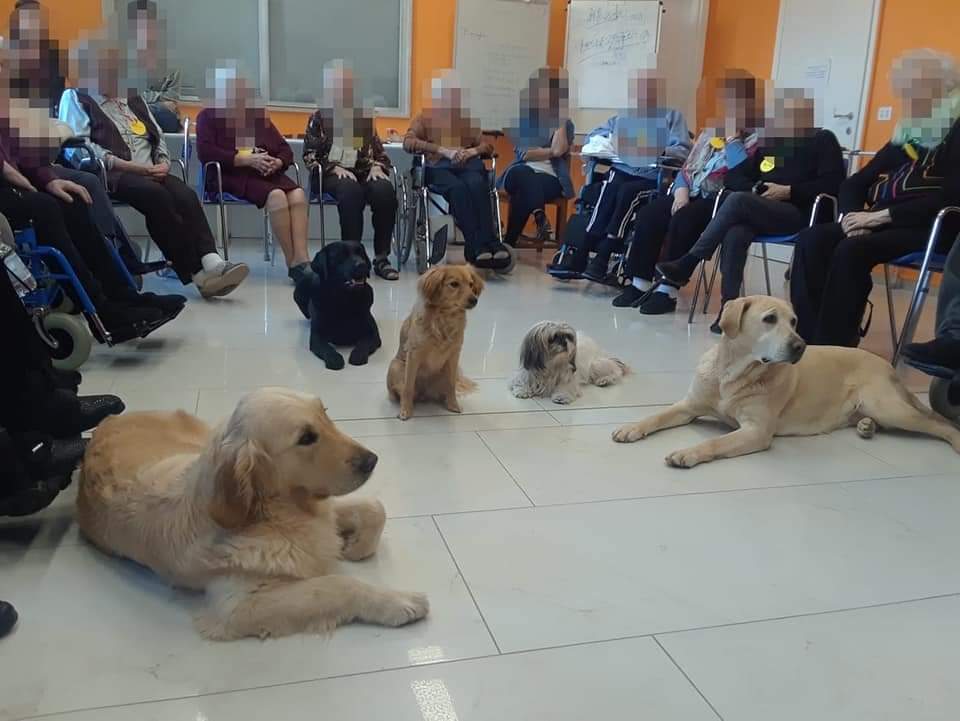 Progetto di Intervento Assistito con i Cani, foto 13
