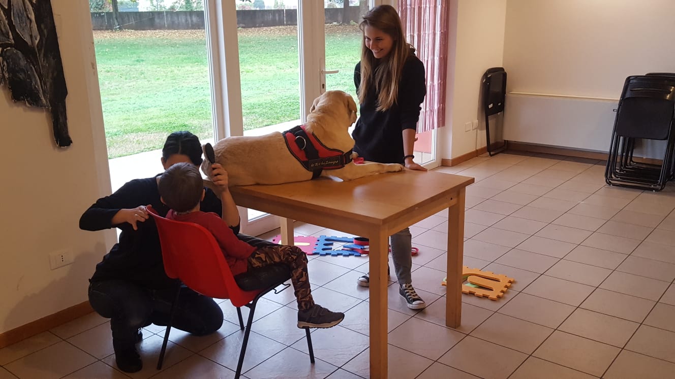 Progetto di Intervento Assistito con i Cani, foto 14