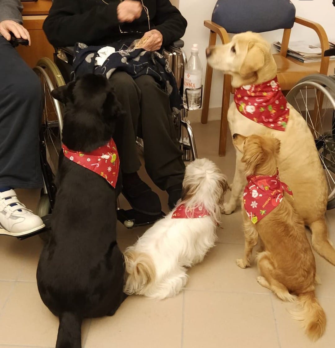 Progetto di Intervento Assistito con i Cani, foto 17