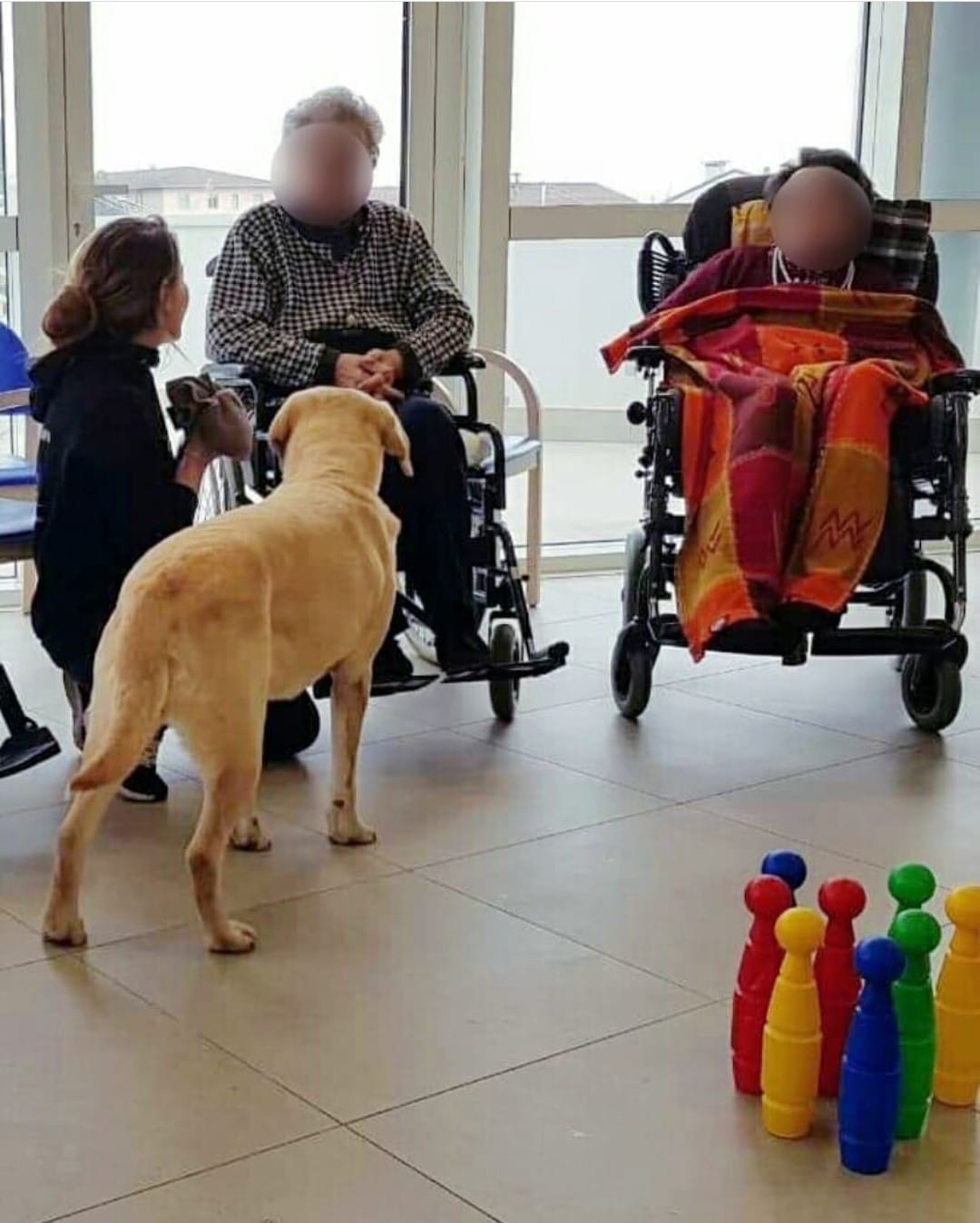 Progetto di Intervento Assistito con i Cani, foto 18