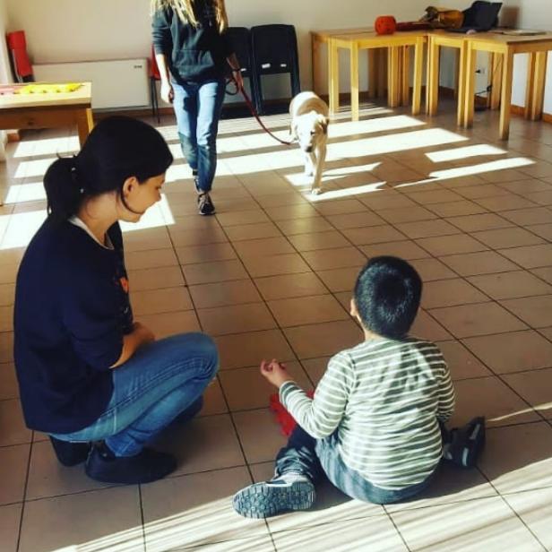Progetto di Intervento Assistito con i Cani, foto 2