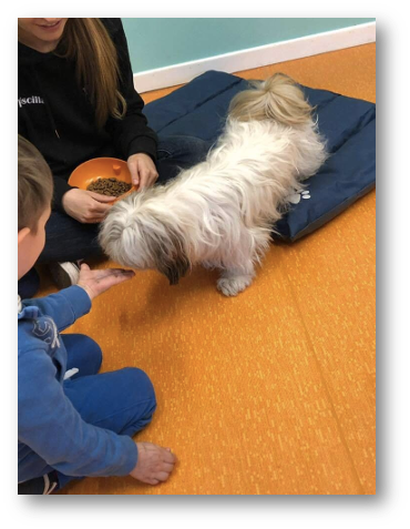 Progetto di Intervento Assistito con i Cani, foto 3